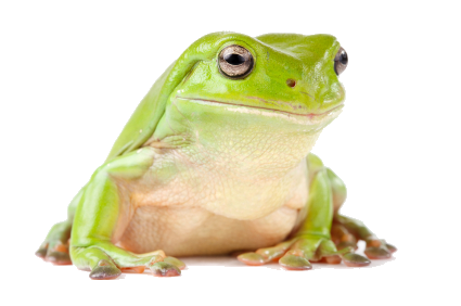 http://aroltd.com/trash/JFMXTLC.png